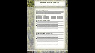 Designer Resume Format - Modern resumes