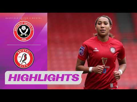 bg-highlight