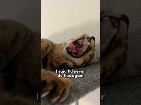 I Left Her All Alone Again…