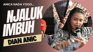 Download lagu JALUK IMBUH - DIAN ANIC - ANICA NADA SIANG 15 MEI 2023 PAREAN ILIR INDRAMAYU mp3 Download lagu JALUK IMBUH - DIAN ANIC - ANICA NADA SIANG 15 MEI 2023 PAREAN ILIR INDRAMAYU mp3