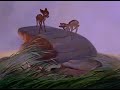Bambi And Deers