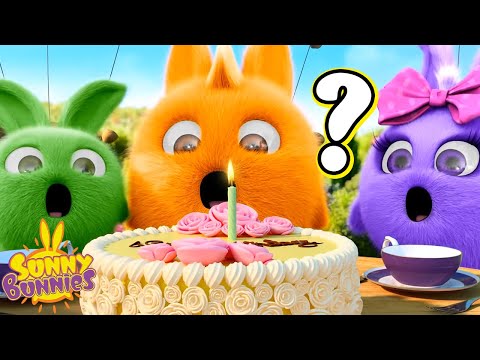 Who's birthday is it today? | Sunny Bunnies