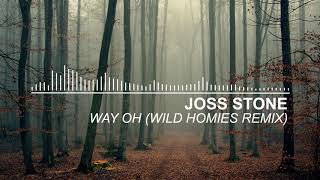 Joss Stone - Way Oh (Wild Homies Remix)