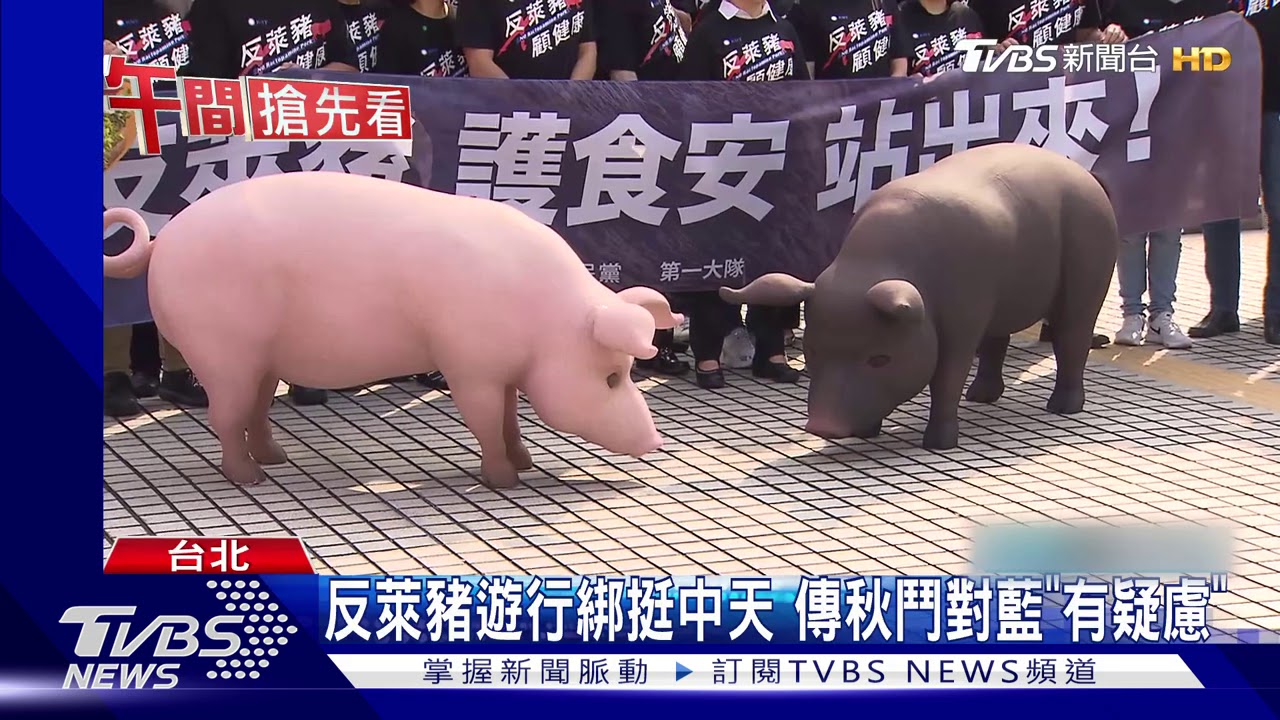 秋鬥明登場！　動保團體抗議「攜豬遊行」
