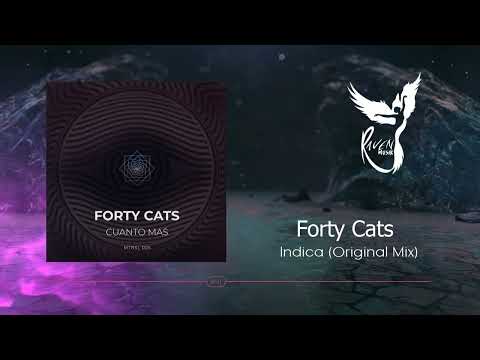 PREMIERE: Forty Cats - Indica  (Original Mix) [Metanoia Soul]