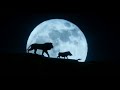 The Lion King 2019 TV Spot 12 TV Spot World