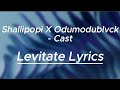Shallipopi X Odumodublvck - Cast || Levitate Lyrics