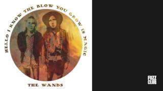 The Wands - Spell My Name - Hello I Know The Blow You Grow Is Magic LP