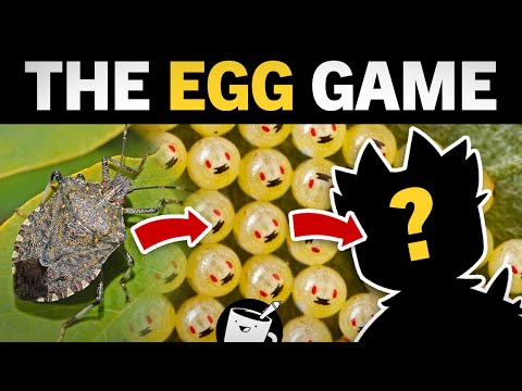 Drawing What We Think Comes Out of These Eggs