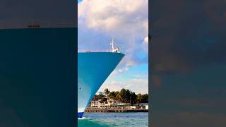 Allure of the Seas 🛳️ #share #like #subscribe #comment #cruise #vacation #shortvideo #shortsvideo