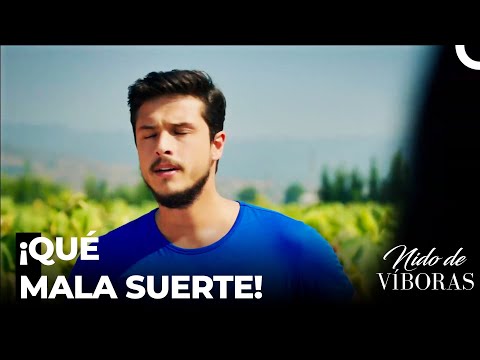 Ejder No Puede Ir A Una Cita - Nido De Víboras Capitulo 25 (Dobladas en Español)