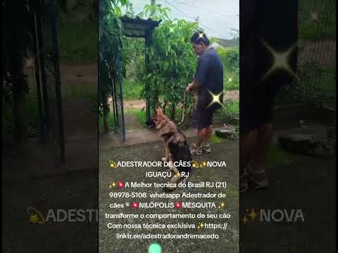 💫ADESTRADOR DE CÃES💫✨NOVA IGUAÇU ✨RJ✨💥A Melhor tecnica do Brasil RJ (21) 98978-5108  whatsapp💫