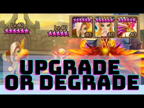 MY UPDATED SEARA, LOREN, PERNA AFTER FRR[1-2-2021] - SUMMONERS WAR