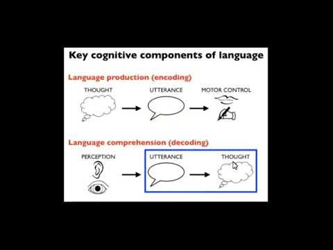 LTI Colloquium: The Language System in the Human Mind and Brain -- Ev Fedorenko