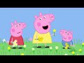 Peppa Pig Learns About Flowers