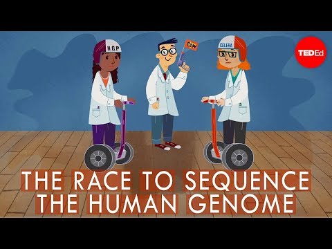 【TED-Ed】The race to sequence the human genome - Tien Nguyen