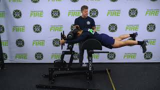 GHD Reverse Hyperextensions thumbnail