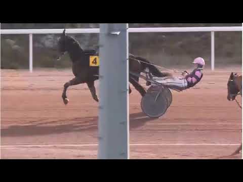 R5-Mauquenchy 21 JAN 2026   - Race Highlights: Kracker Piya and R. Lamy Claim Victory in France