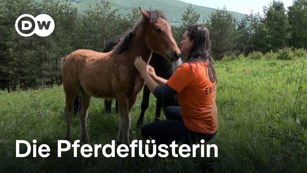 Rückkehr nach Bosnien: Ein Pferdehof für Therapie | Fokus Europa