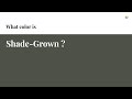 Shade-Grown color #4e5147 hex color - Grey color - Cool color 4e5147