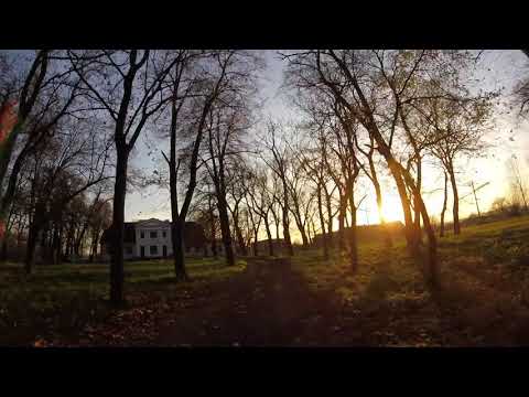 Młogoszyn - do dworu