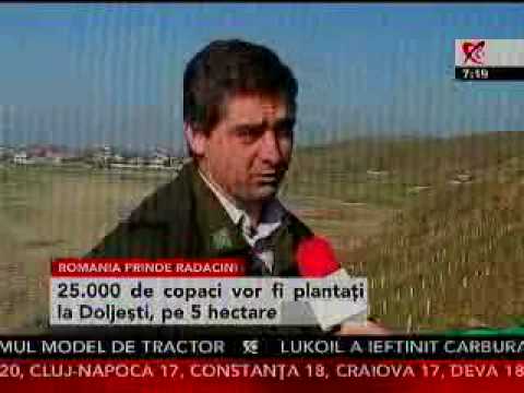 Romania prinde radacini, Realitatea TV, 29 octombrie 2008