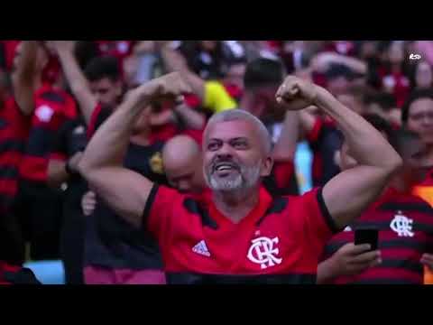 FL4M3NG0 3x1 S40 P4UL0 - BR4S1L31R40 2022