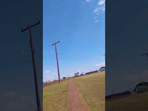 Chuva e Vento derrubam árvores em Cidade no Ocidental GO.