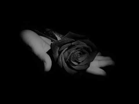 Μαύρο τριαντάφυλλο - Αλεκάν (Prod.T66)