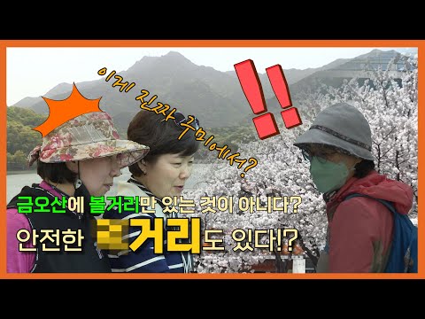 구미시로컬푸드직매장 금오산점 개장