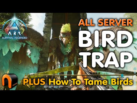 ARGY TRAP How to TAME BIRDS ARK Survival Ascended