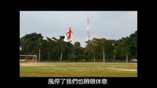 preview picture of video 'DAP ROCKET KITES FLY AT PANDAMARAN'