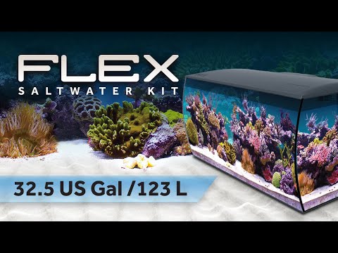 Hagen MAGNAI FLUVAL 306
