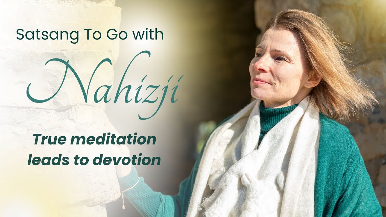 What happens in true meditation? | Satsang to Go with Nahizji