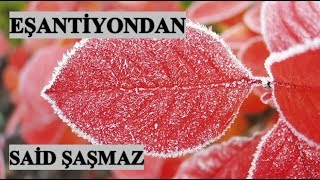 Said Şaşmaz - Eşantiyondan