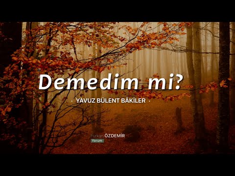 Yavuz Bülent Bakiler | Demedim mi? [Şiir]