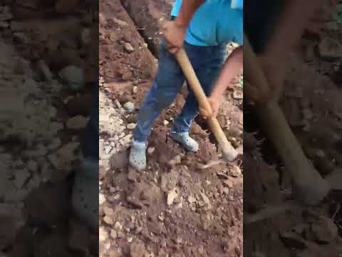 video #1