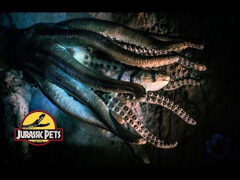 Monster der Tiefe - Im Reich der Urzeit | Tiefsee Doku