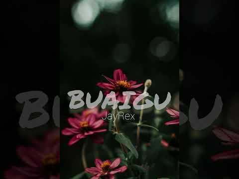 Buaigu - JayRex Suisui 🔥🇵🇬
