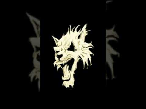 Vit Legion - I hjärtat av Europa