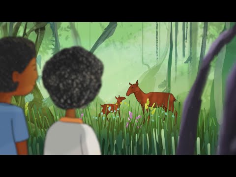 Community-based sustainable wildlife management (animated story)