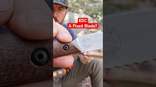 This "Pocket Knife" Surprised Me!