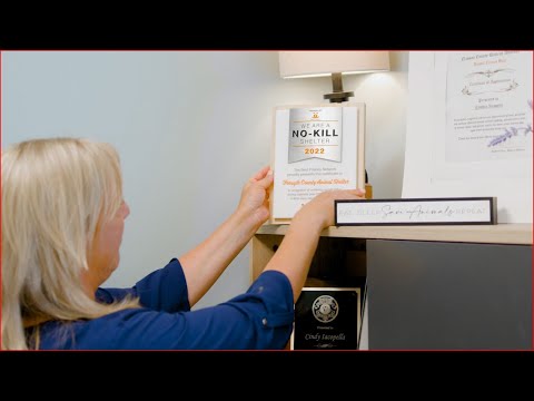 The Best Friends Animal Society Shelter Collaborative Program