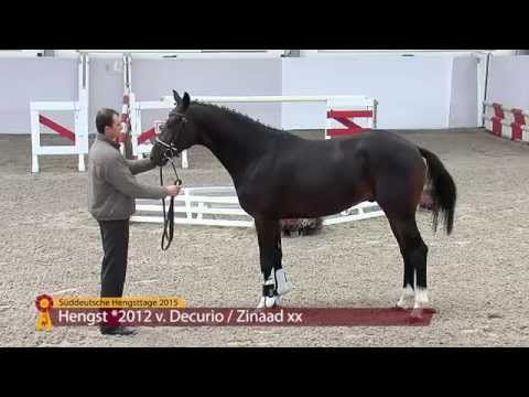 Decurio - Zinaad xx - KN 8