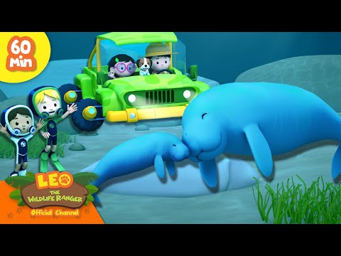 Witness21 Editor  2025 01 04