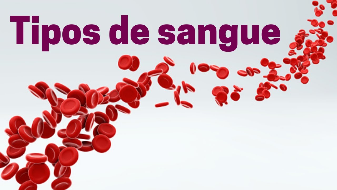 Tipos sanguíneos e compatibilidade sanguínea - Fisiologia Humana