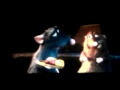 RATATOUILLE Mp4