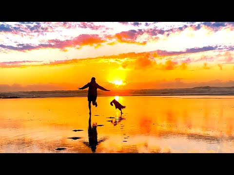 LA LUZ QUE IMAGINAMOS (Payal Kapadia) | Spot 15'' | Ya en cines