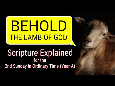 Behold, Jesus! Do You Notice God Coming to Us?