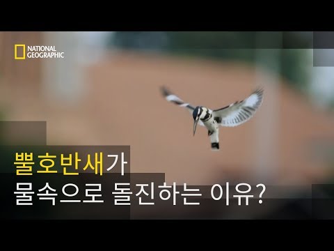 아이콘